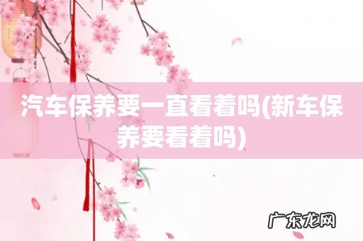 新车保养要看着吗 汽车保养要一直看着吗
