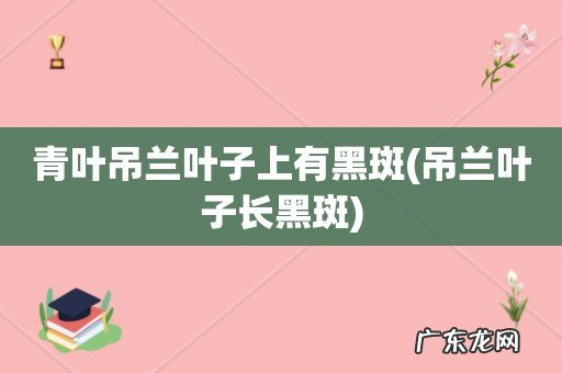 吊兰叶子长黑斑 青叶吊兰叶子上有黑斑