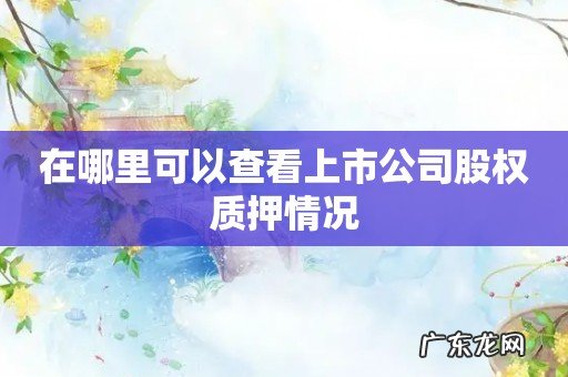 在哪里可以查看上市公司股权质押情况