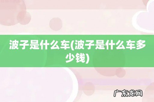 波子是什么车多少钱 波子是什么车