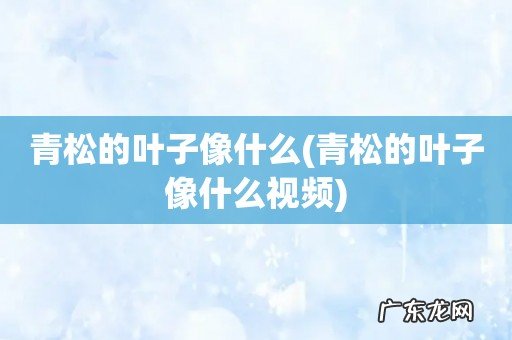 青松的叶子像什么视频 青松的叶子像什么