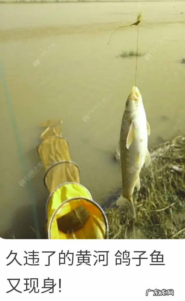 凤形山风水地形图片 有凤字的风水宝地是哪里