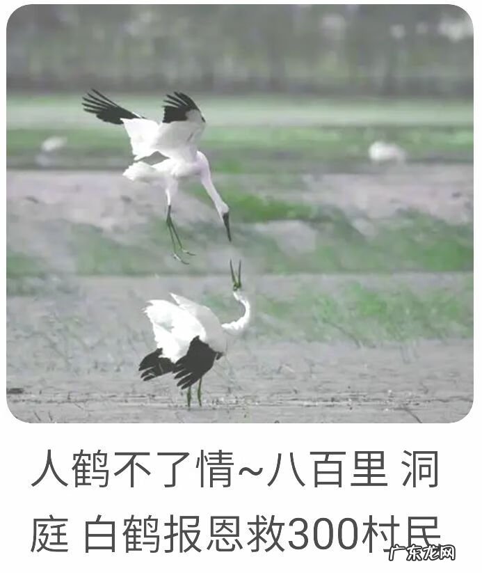 凤形山风水地形图片 有凤字的风水宝地是哪里