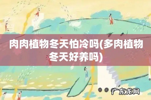 多肉植物冬天好养吗 肉肉植物冬天怕冷吗