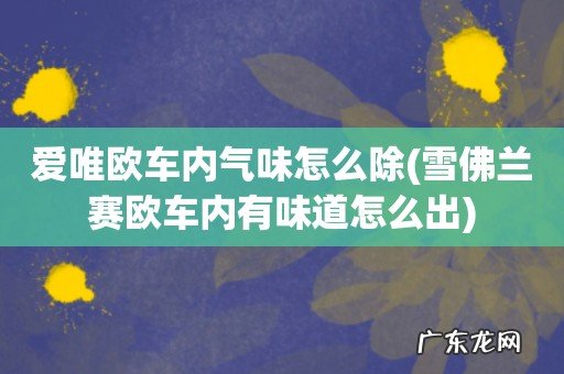 雪佛兰赛欧车内有味道怎么出 爱唯欧车内气味怎么除