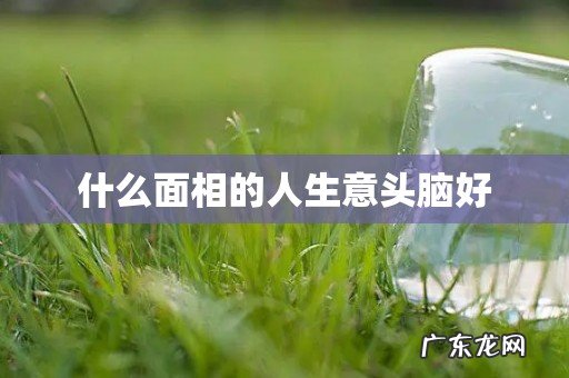 什么面相的人生意头脑好