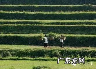 西水东流风水好吗 风水房子水往东流