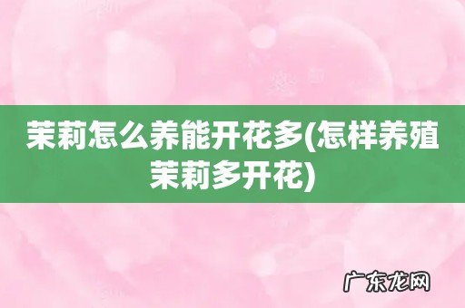 怎样养殖茉莉多开花 茉莉怎么养能开花多