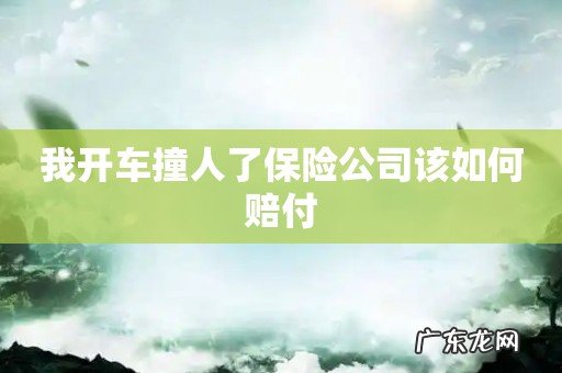 我开车撞人了保险公司该如何赔付