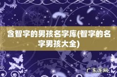智字的名字男孩大全 含智字的男孩名字库