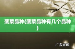 菠菜品种有几个品种 菠菜品种