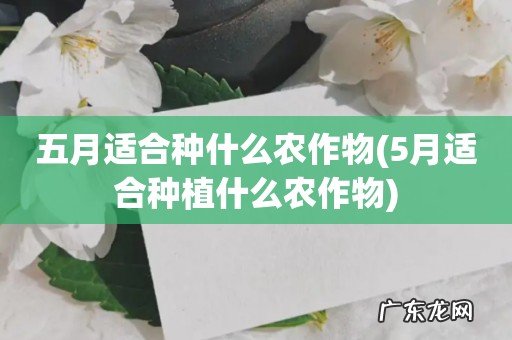5月适合种植什么农作物 五月适合种什么农作物