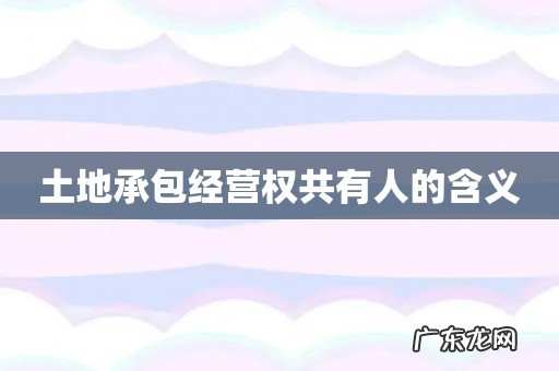 土地承包经营权共有人的含义