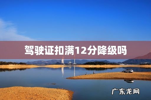 驾驶证扣满12分降级吗