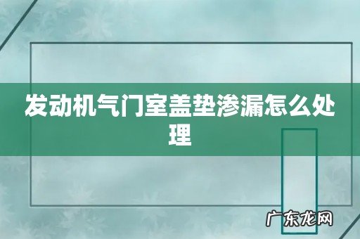 发动机气门室盖垫渗漏怎么处理