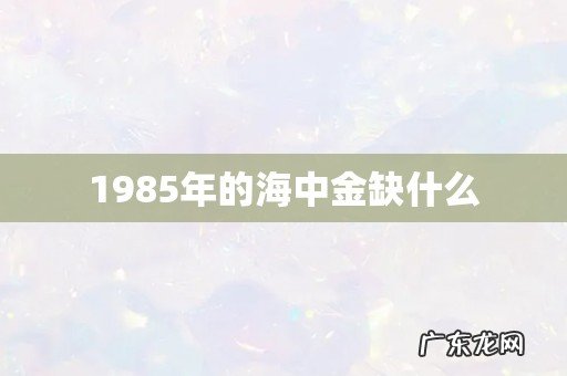 1985年的海中金缺什么