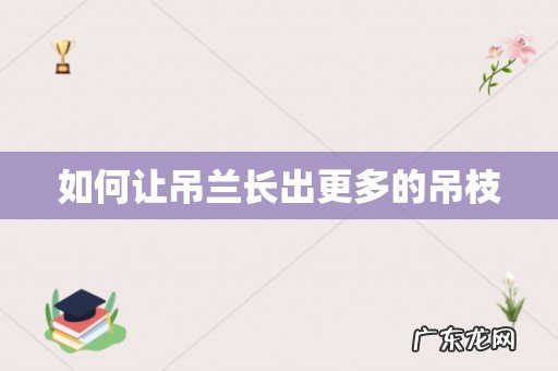 如何让吊兰长出更多的吊枝