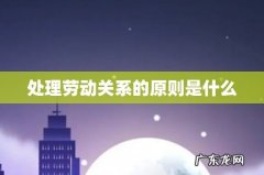 处理劳动关系的原则是什么