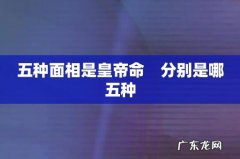 五种面相是皇帝命　分别是哪五种