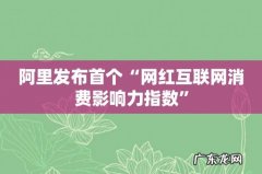 阿里发布首个“网红互联网消费影响力指数”