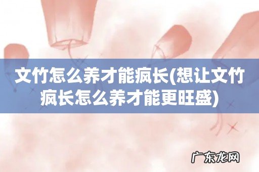 想让文竹疯长怎么养才能更旺盛 文竹怎么养才能疯长