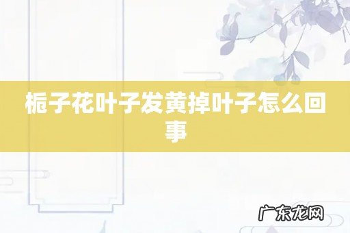 栀子花叶子发黄掉叶子怎么回事