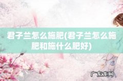 君子兰怎么施肥和施什么肥好 君子兰怎么施肥