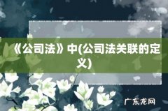 公司法关联的定义 《公司法》中
