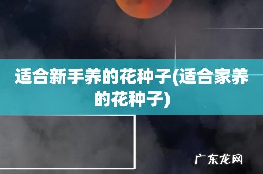 适合家养的花种子 适合新手养的花种子