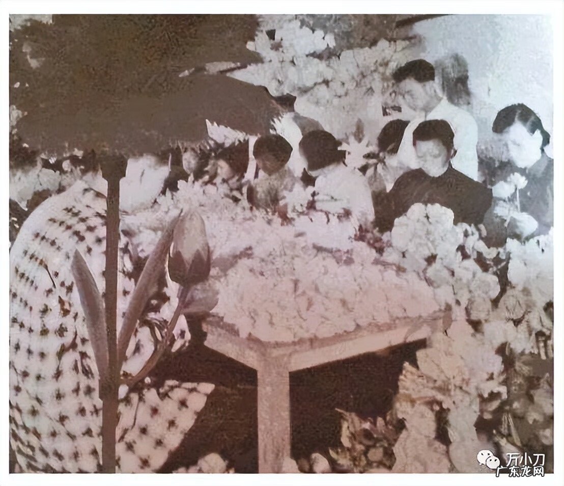 世界风水大师排名榜 世界风水评论大师