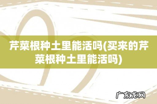 买来的芹菜根种土里能活吗 芹菜根种土里能活吗