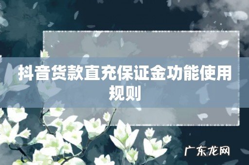 抖音货款直充保证金功能使用规则