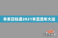辛亥日柱遇2021辛丑流年大运