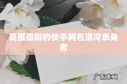 高傲孤僻的快手网名清冷单身者