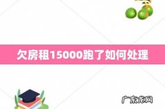 欠房租15000跑了如何处理