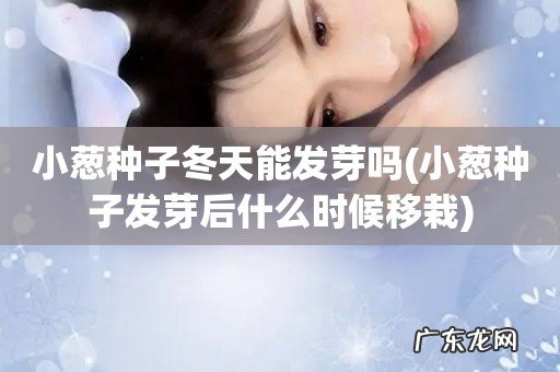 小葱种子发芽后什么时候移栽 小葱种子冬天能发芽吗