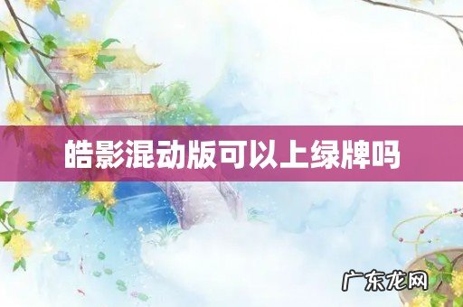 皓影混动版可以上绿牌吗