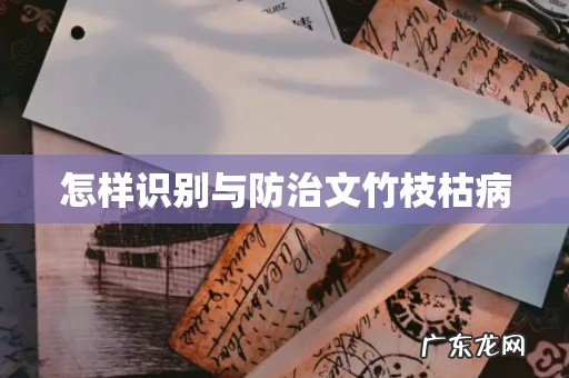 怎样识别与防治文竹枝枯病