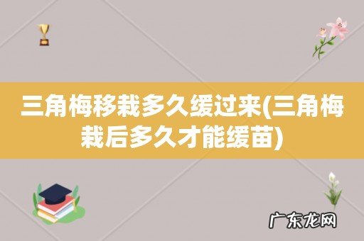 三角梅栽后多久才能缓苗 三角梅移栽多久缓过来