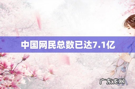 中国网民总数已达7.1亿