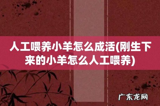 刚生下来的小羊怎么人工喂养 人工喂养小羊怎么成活