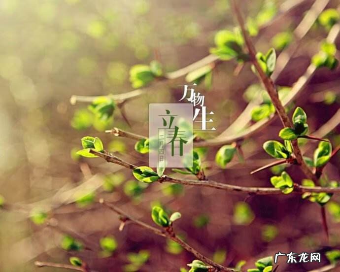 阳宅实用风水100例 立春风水100例