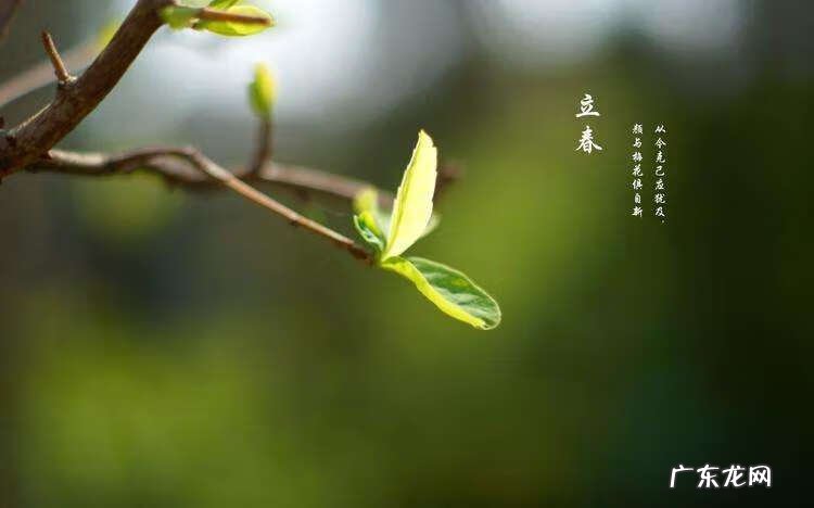 阳宅实用风水100例 立春风水100例