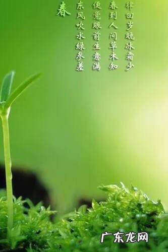 阳宅实用风水100例 立春风水100例