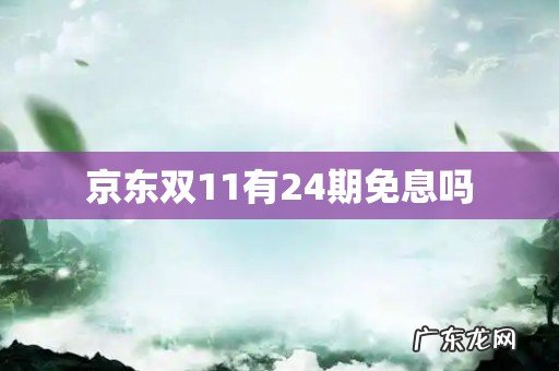 京东双11有24期免息吗