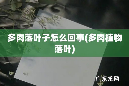 多肉植物落叶 多肉落叶子怎么回事