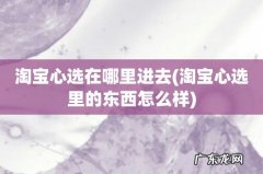 淘宝心选里的东西怎么样 淘宝心选在哪里进去