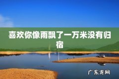 喜欢你像雨飘了一万米没有归宿