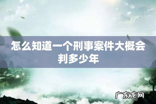 怎么知道一个刑事案件大概会判多少年