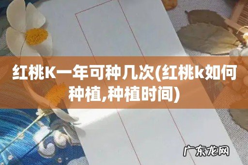 红桃k如何种植,种植时间 红桃K一年可种几次